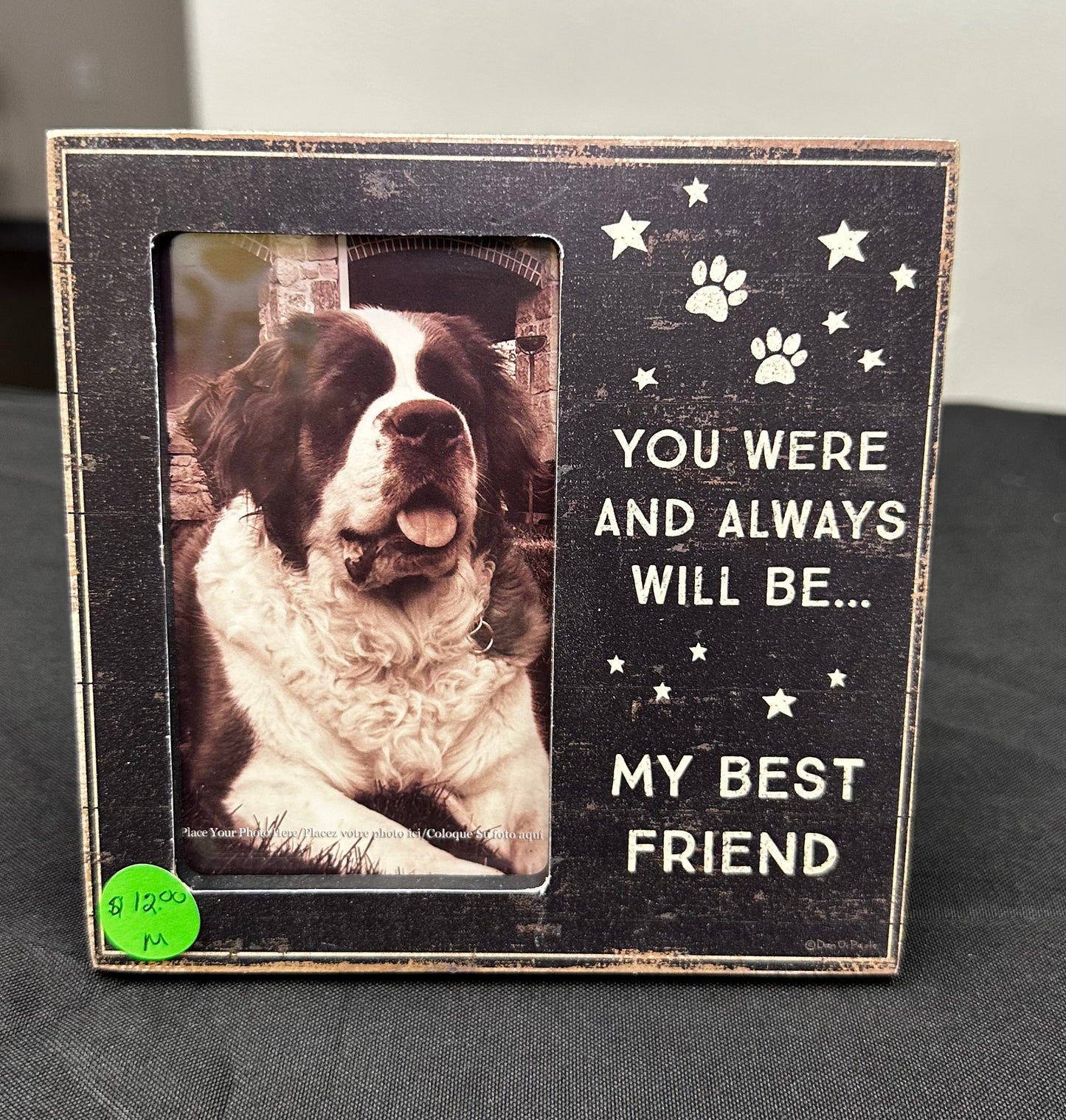 My Best Friend Dog Picture Frame